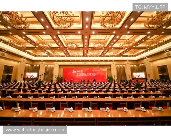 多宝视讯公司所在城市及其发展环境对企业成长的促进作用